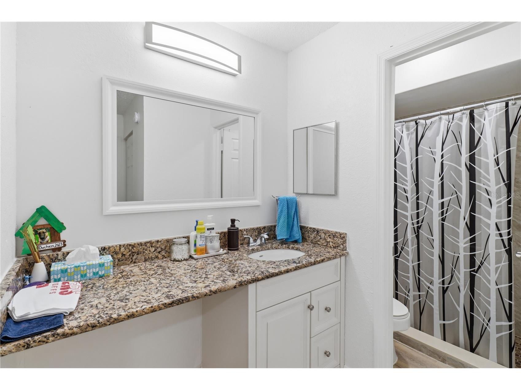 174 Waterfall Way #101 Altamonte Springs FL 32714 O6420724 image18