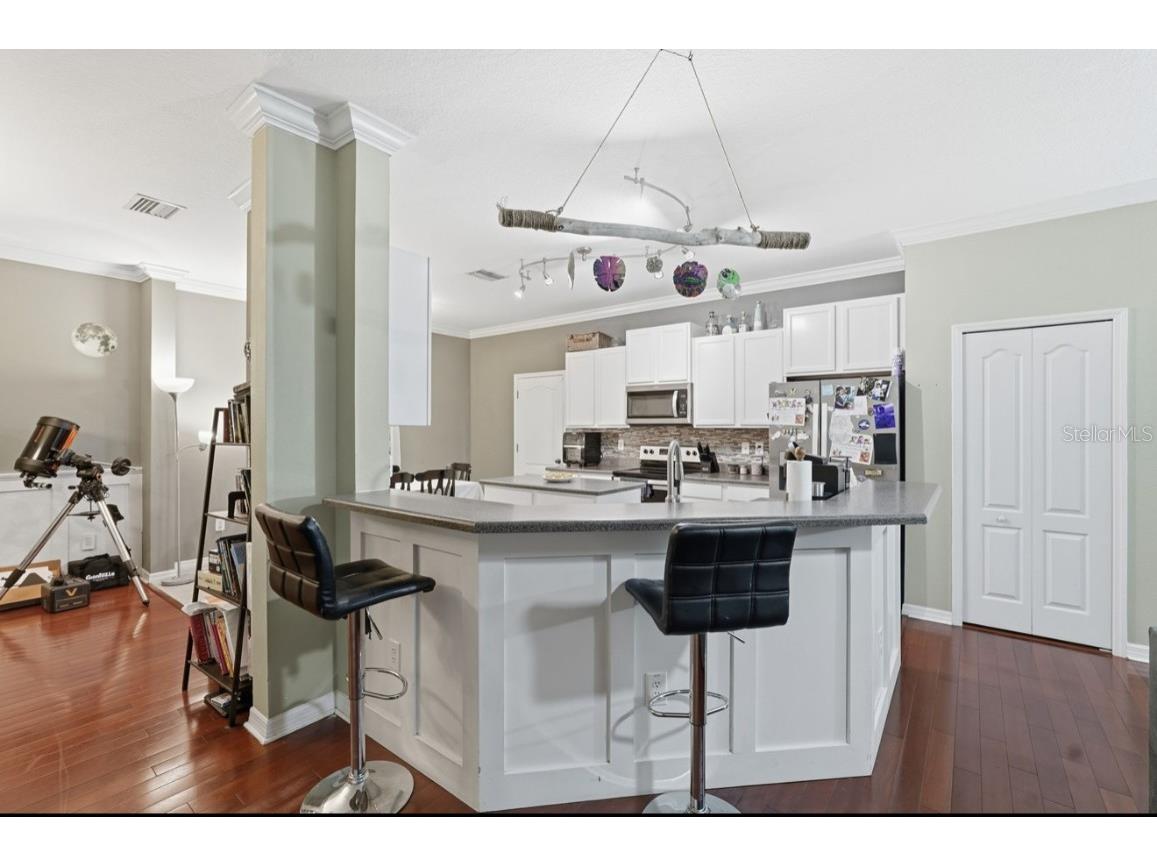 1740 Bonita Bluff Court Ruskin FL 33570 OM715049 image12