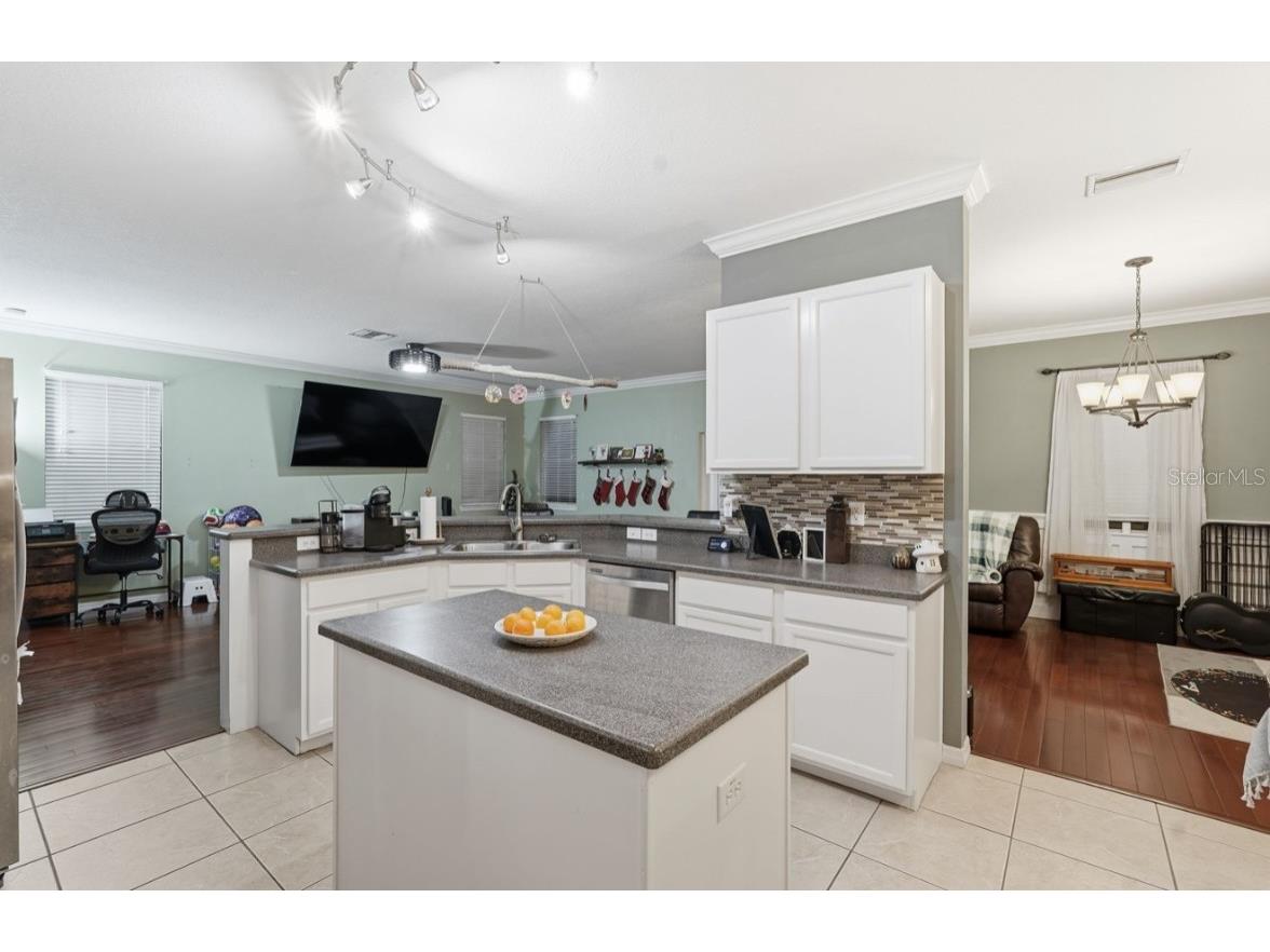 1740 Bonita Bluff Court Ruskin FL 33570 OM715049 image13