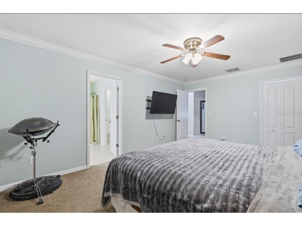 1740 Bonita Bluff Court Ruskin FL 33570 OM715049 image26