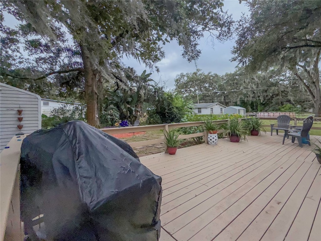 1740 Cherry Lane Lakeland FL 33811 L4956437 image24