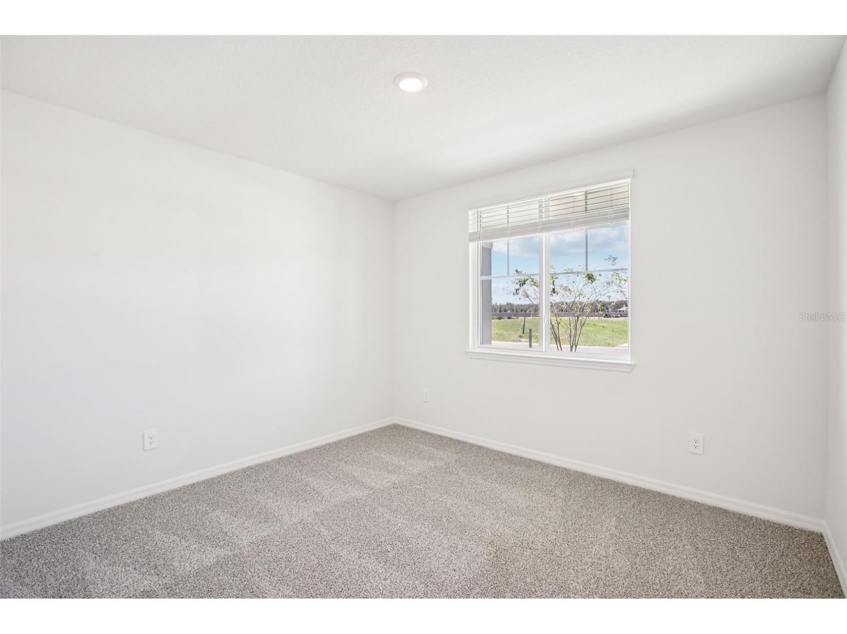 1740 Draughton Drive Zephyrhills FL 33541 O6368265 image21