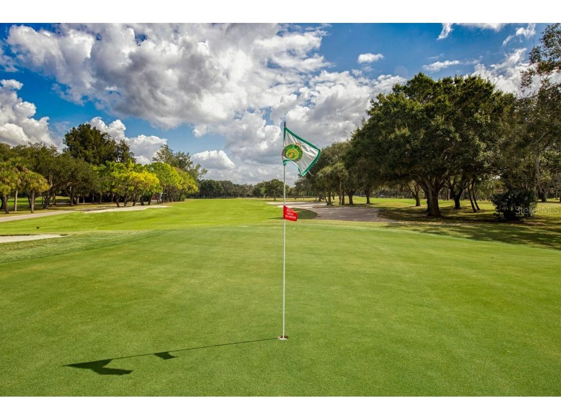 1740 Grande Park Drive Englewood FL 34223 N6134748 image17