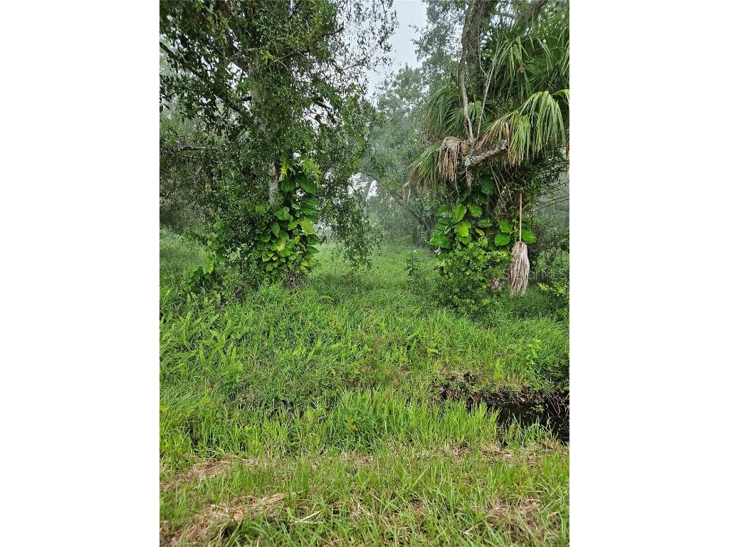 1740 NE Mike Drive Arcadia FL 34266 A4581458 image1