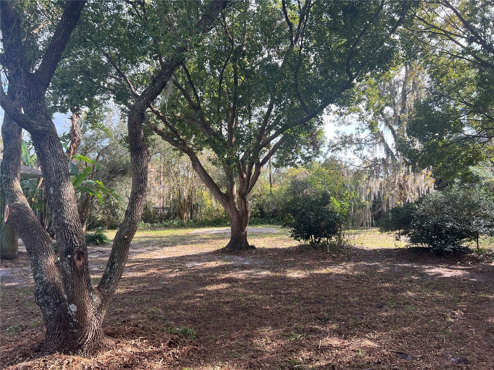 1740 Whipple Drive Deltona FL 32738 O6384468 image23