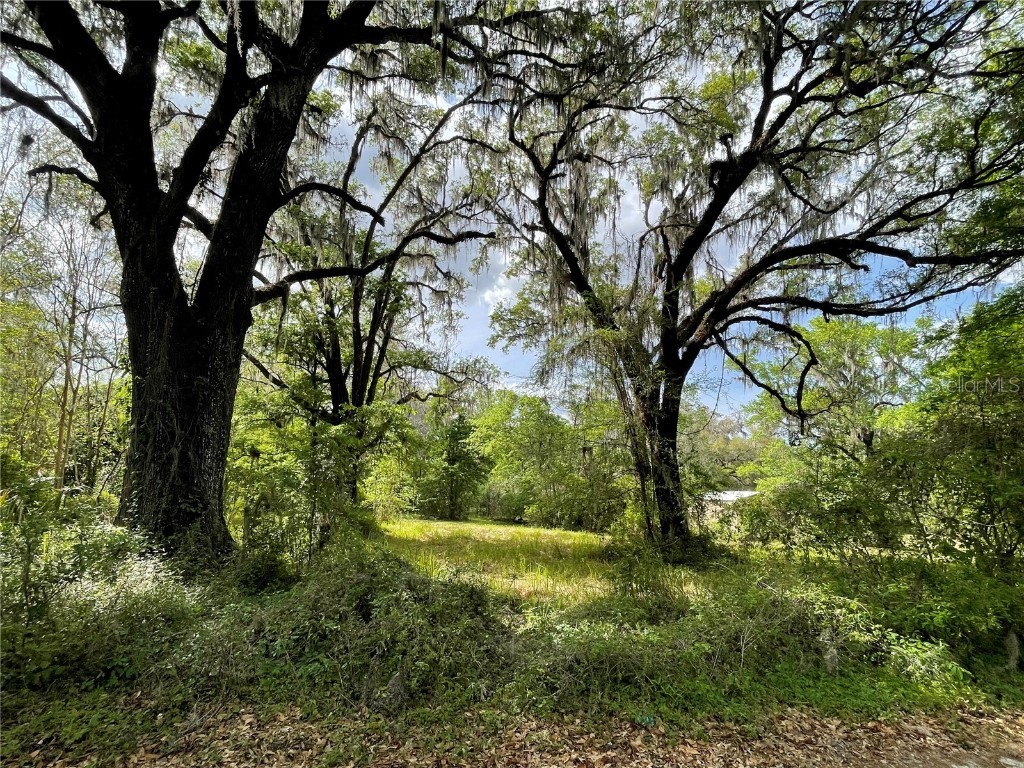 17400 NW 120th Ave Road Reddick FL 32686 OM697450 image11