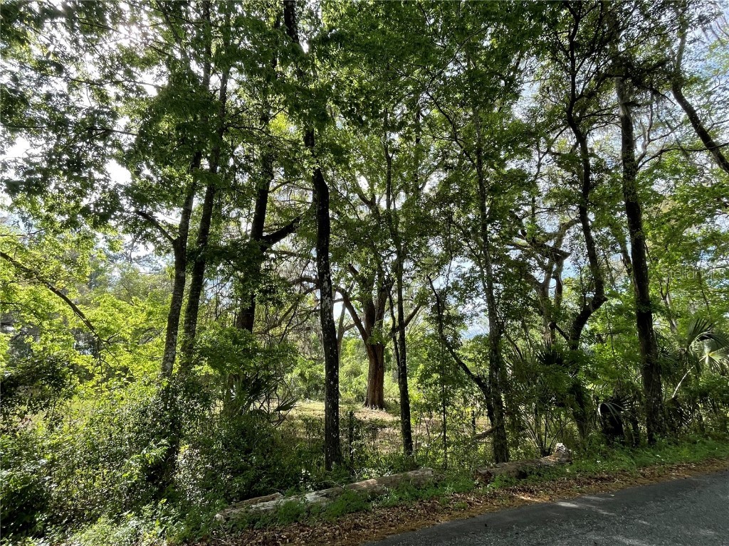 17400 NW 120th Ave Road Reddick FL 32686 OM697450 image12