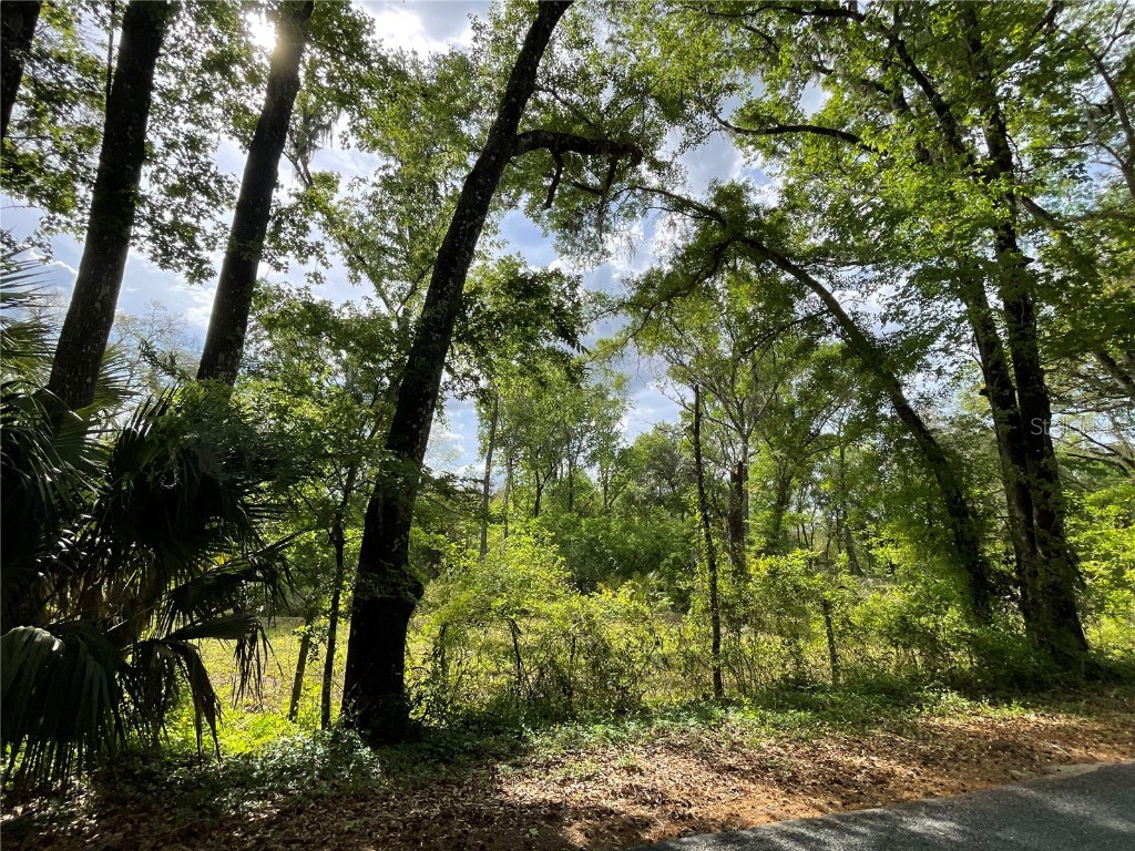 17400 NW 120th Ave Road Reddick FL 32686 OM697450 image13