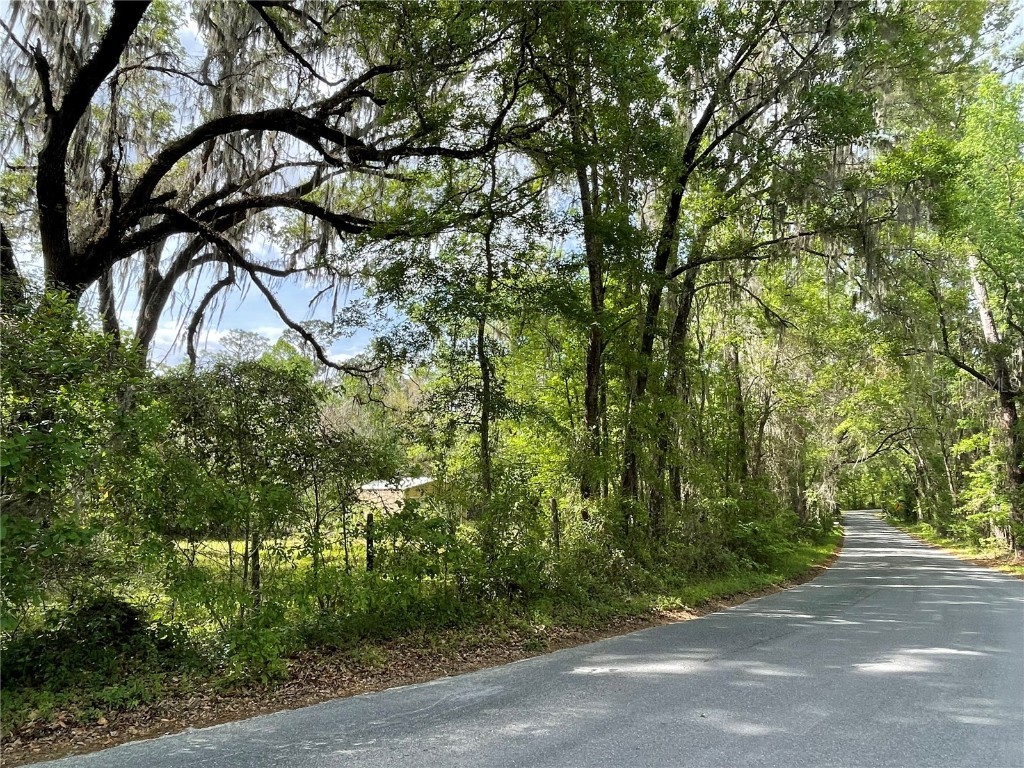 17400 NW 120th Ave Road Reddick FL 32686 OM697450 image22