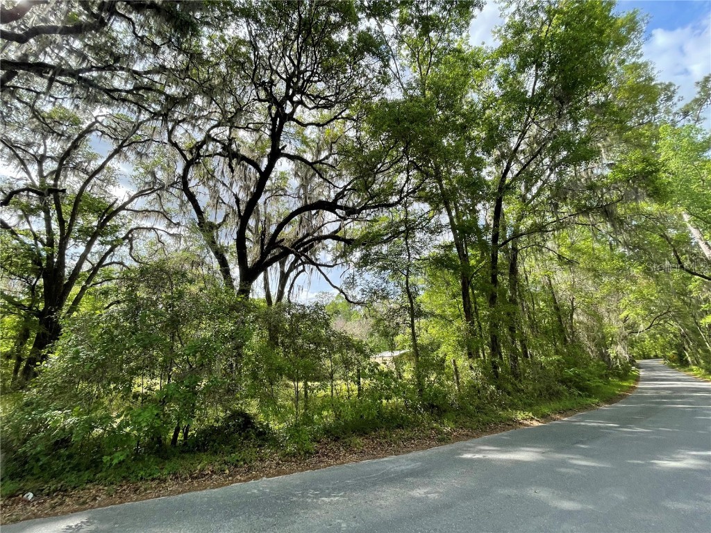 17400 NW 120th Ave Road Reddick FL 32686 OM697450 image25