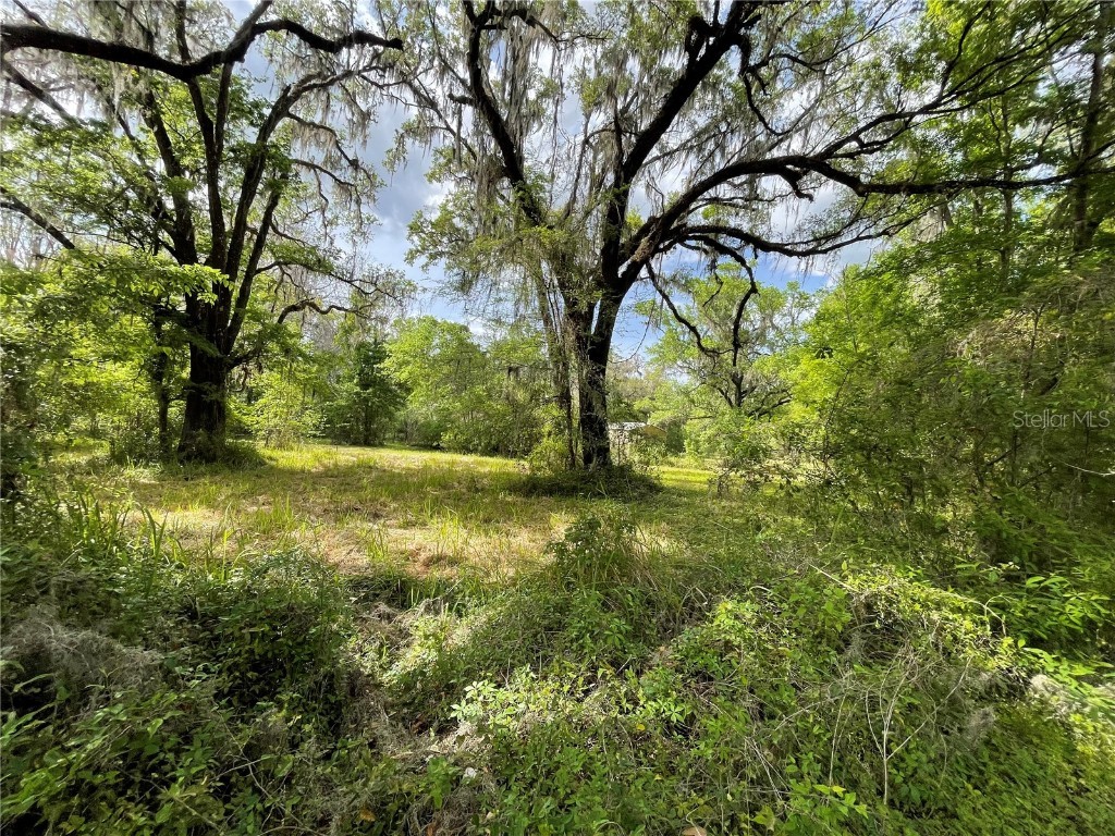 17400 NW 120th Ave Road Reddick FL 32686 OM697450 image27