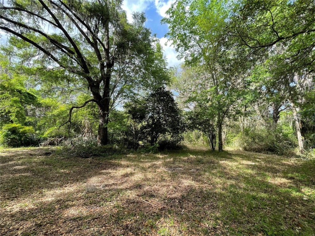 17400 NW 120th Ave Road Reddick FL 32686 OM697450 image4