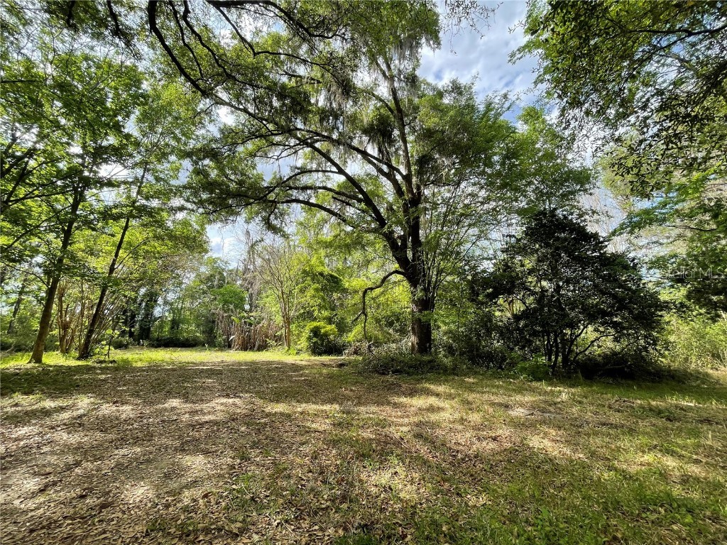 17400 NW 120th Ave Road Reddick FL 32686 OM697450 image5