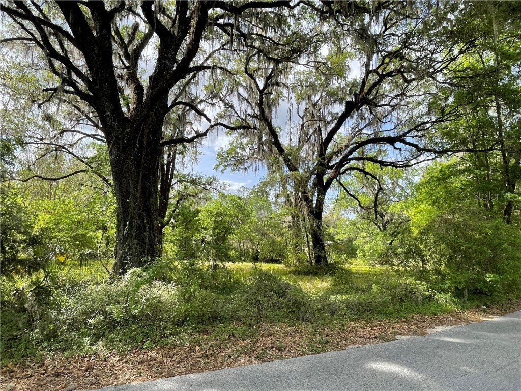 17400 NW 120th Ave Road Reddick FL 32686 OM697450 image6