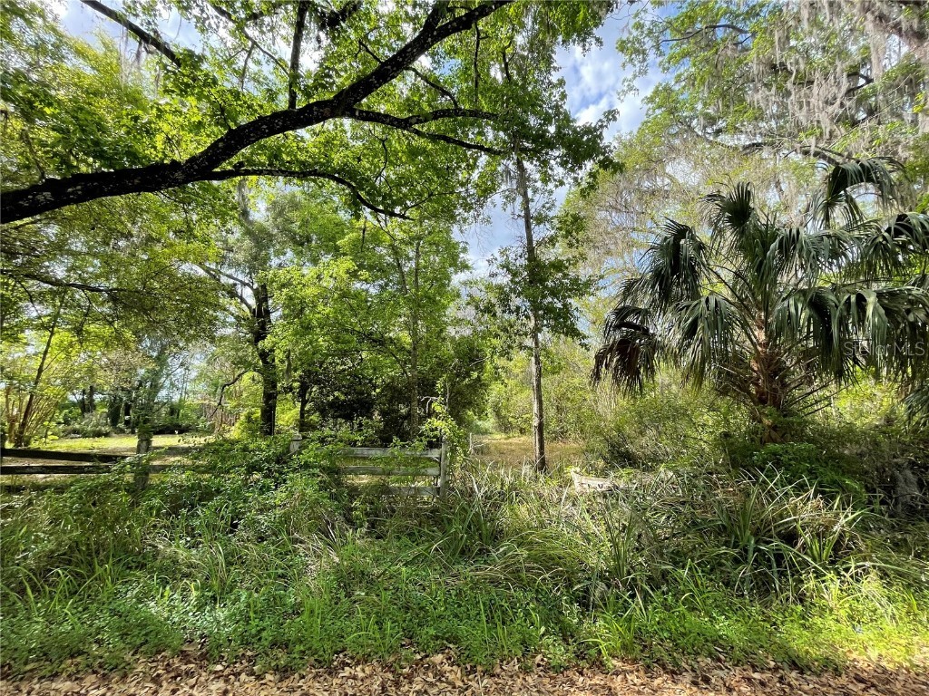 17400 NW 120th Ave Road Reddick FL 32686 OM697450 image9