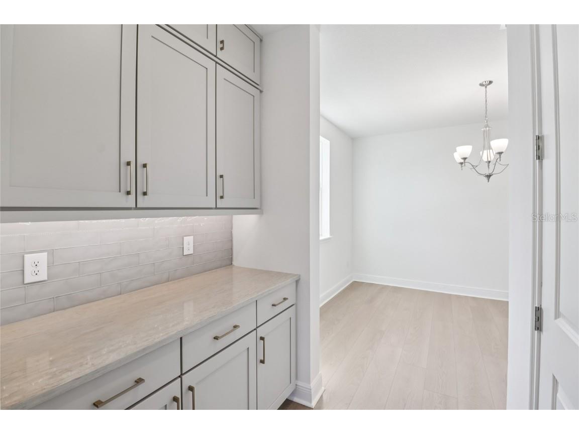 17401 Honeybell Tangelo Court Winter Garden FL 34787 TB8451532 image17