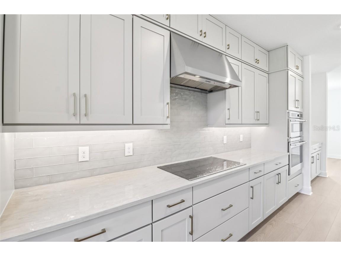 17401 Honeybell Tangelo Court Winter Garden FL 34787 TB8451532 image22