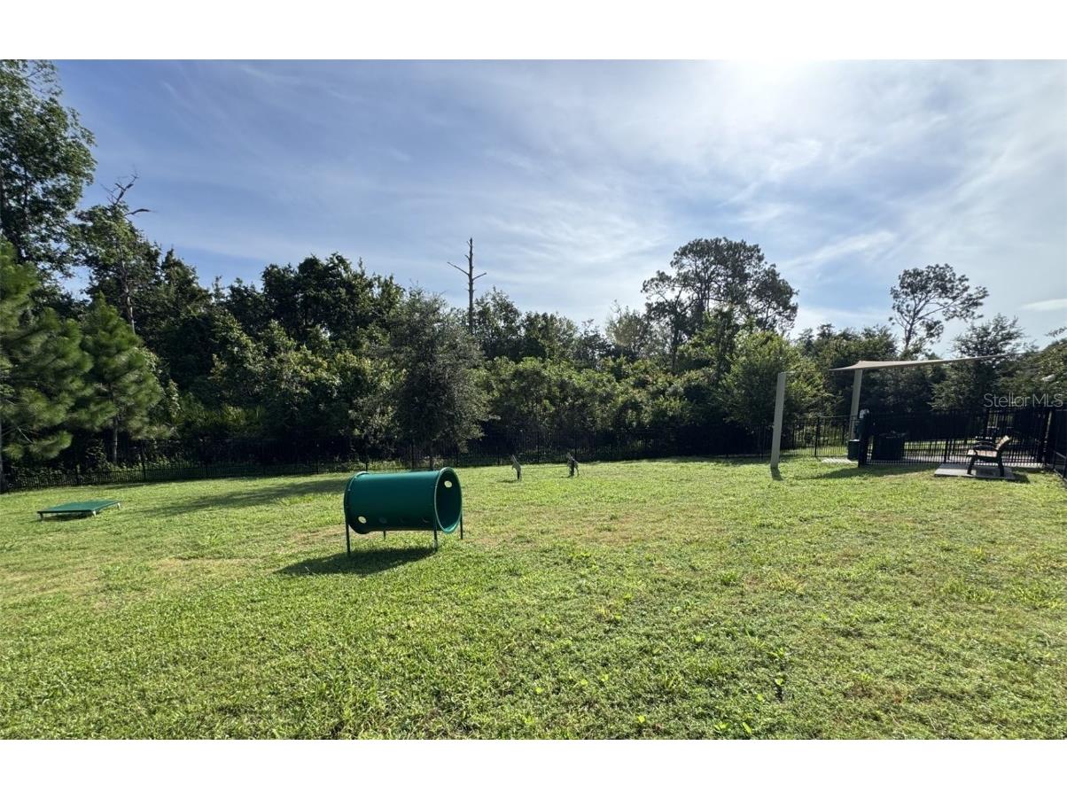 17401 Honeybell Tangelo Court Winter Garden FL 34787 TB8451532 image53