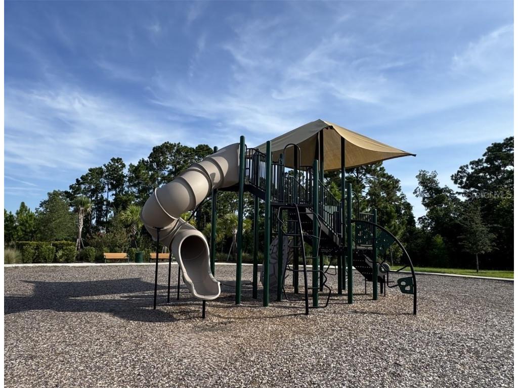 17401 Honeybell Tangelo Court Winter Garden FL 34787 TB8451532 image55