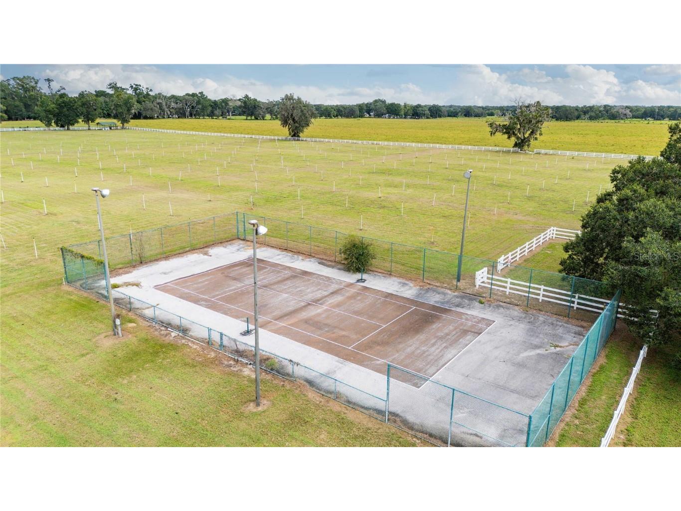 17401 S Highway 475 Summerfield FL 34491 OM709316 image48