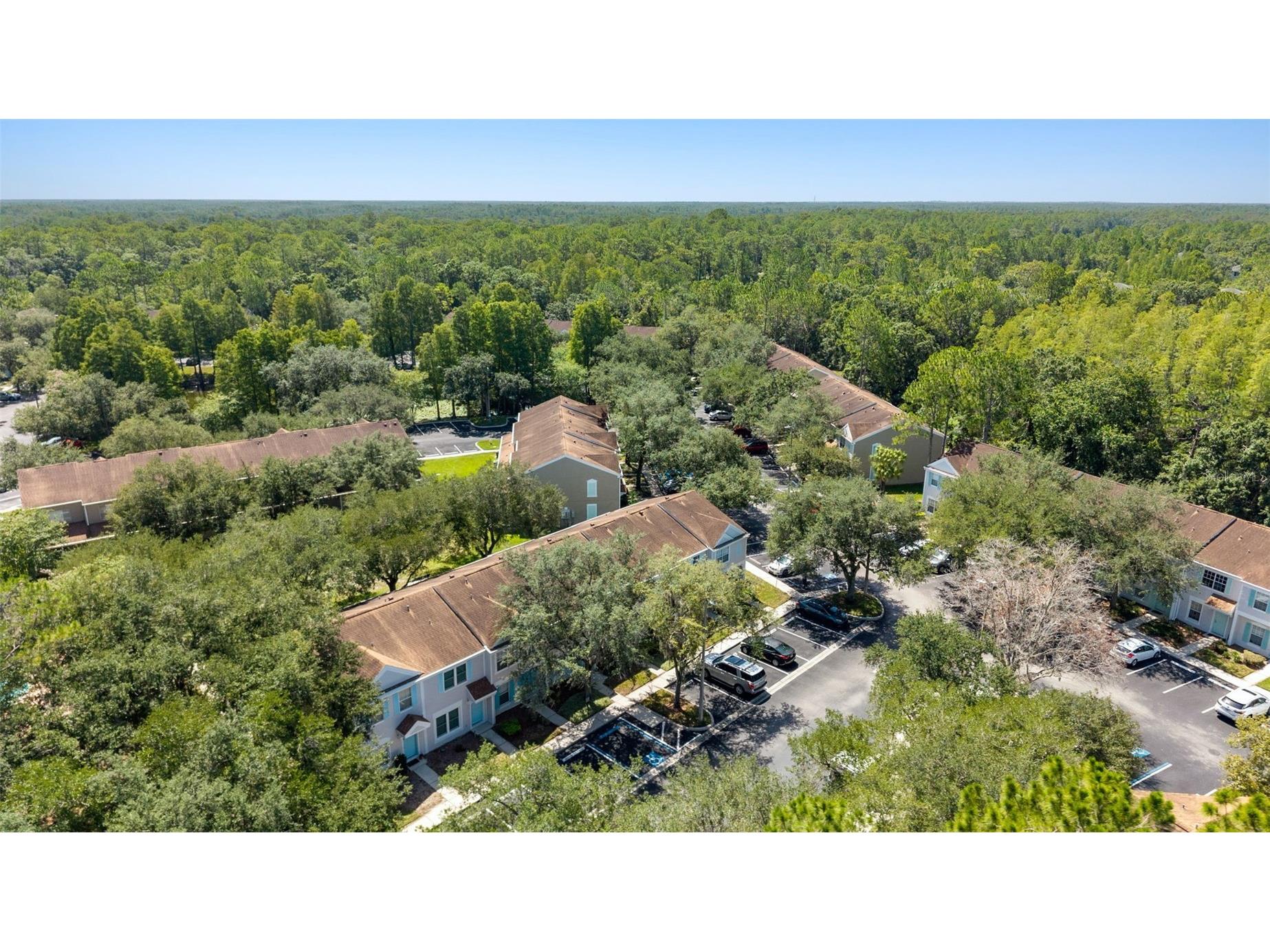 17403 Flatwoods Key Drive Tampa FL 33647 TB8529901 image38
