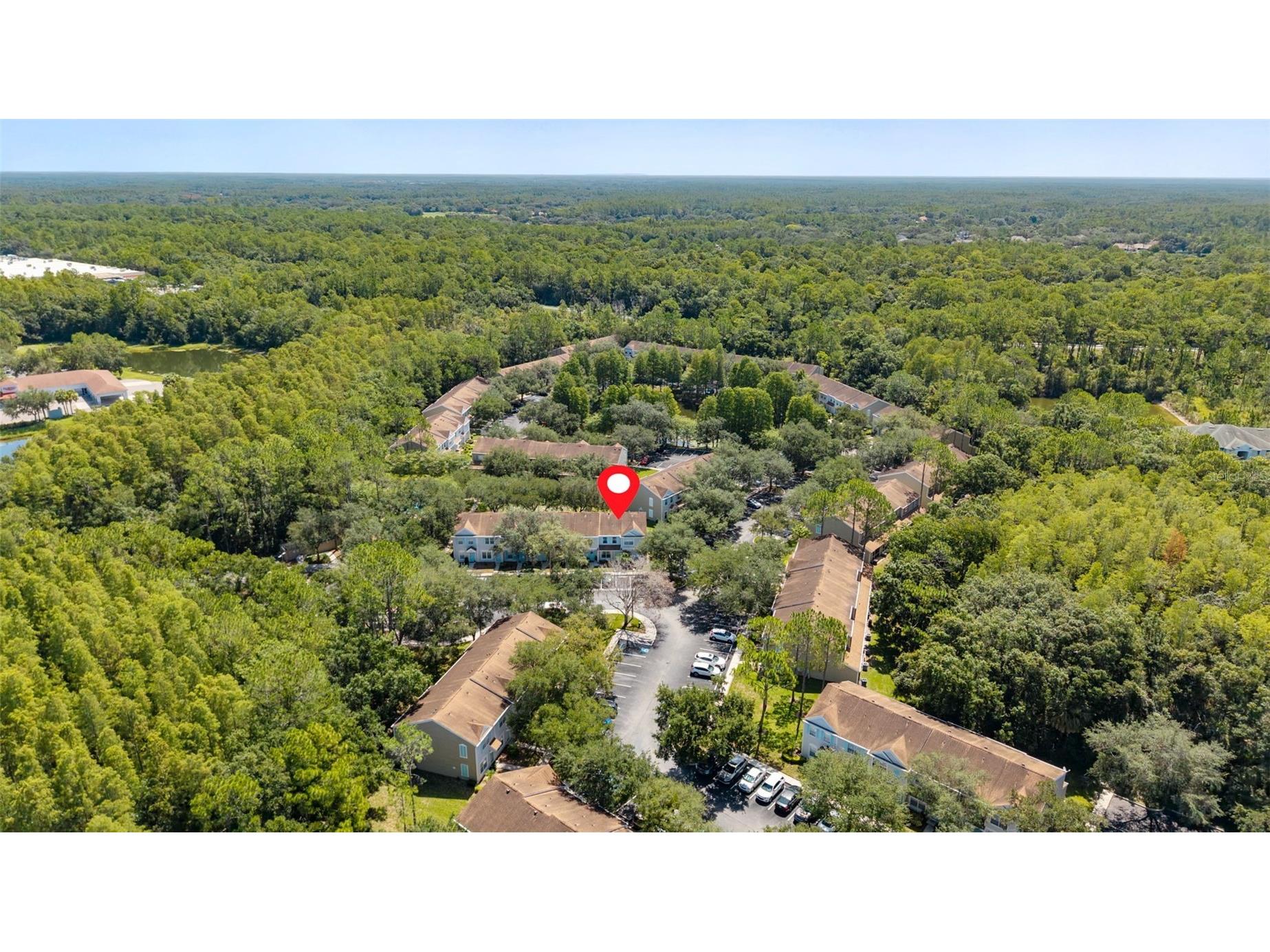 17403 Flatwoods Key Drive Tampa FL 33647 TB8529901 image40
