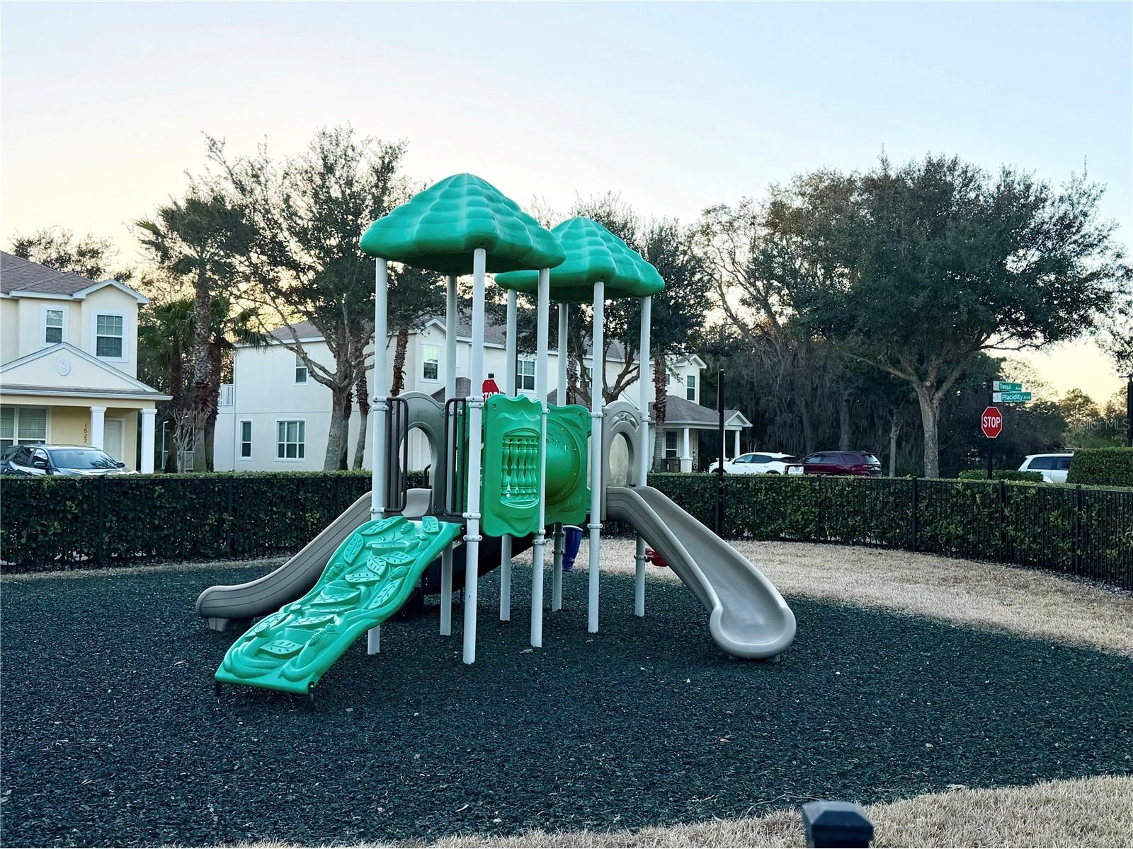 17407 Placidity Avenue Clermont FL 34714 O6379955 image35