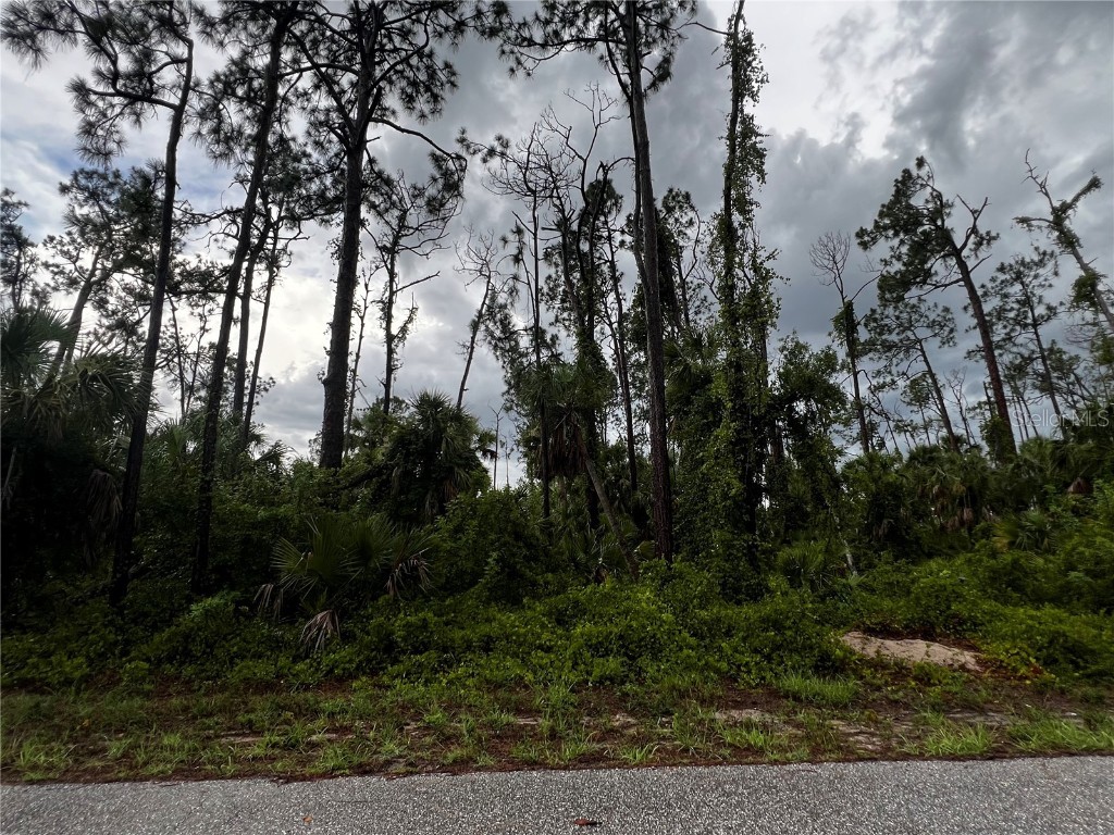 17407 Vidal Avenue Port Charlotte FL 33954 J977919 image1