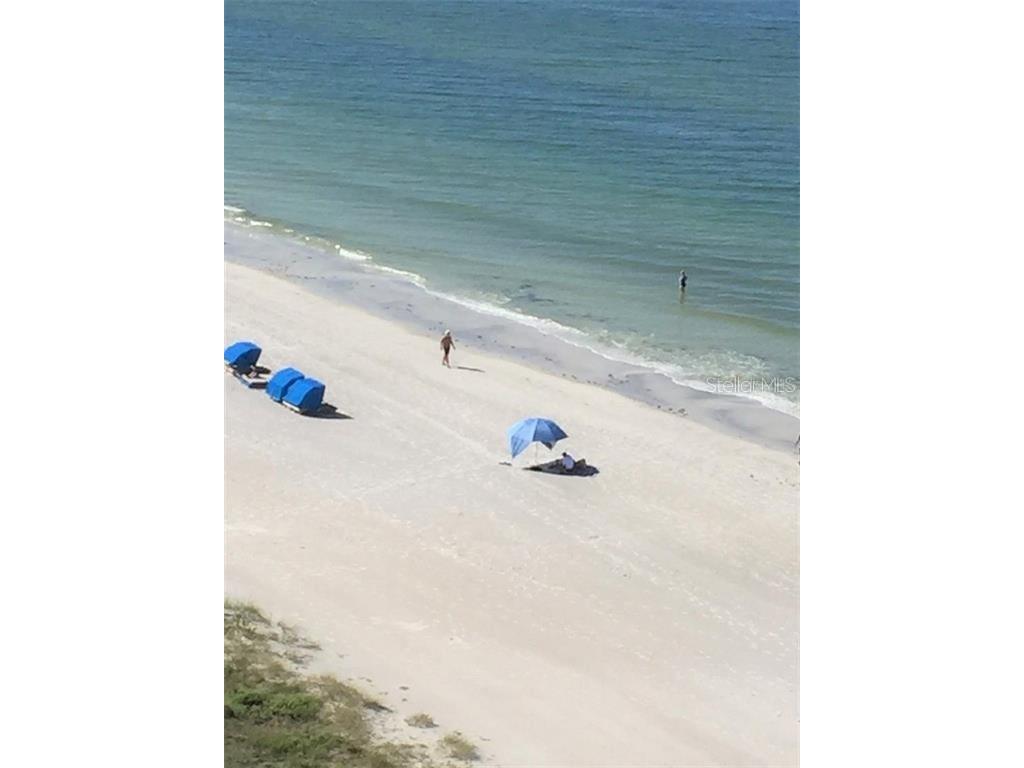 17408 Gulf Boulevard #1003 Redington Shores FL 33708 TB8458388 image3
