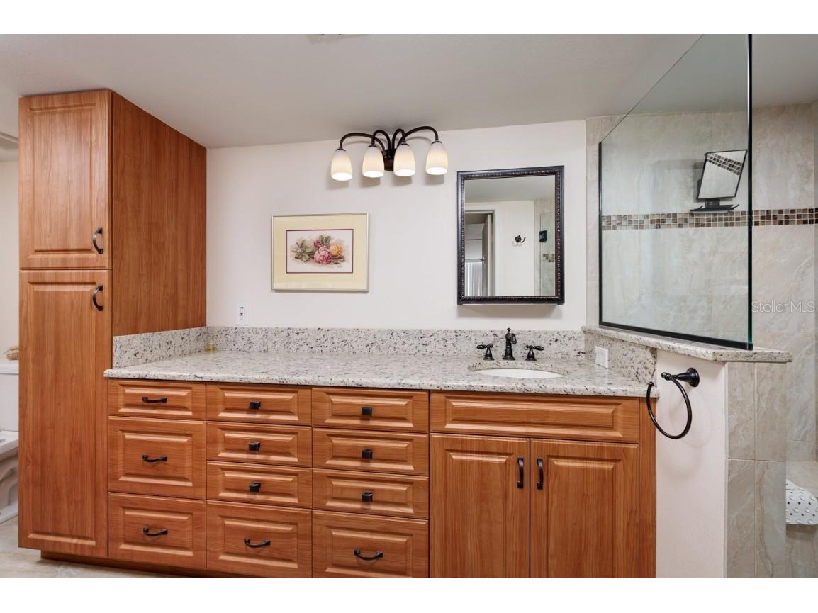 17408 Gulf Boulevard #203 Redington Shores FL 33708 TB8385041 image23