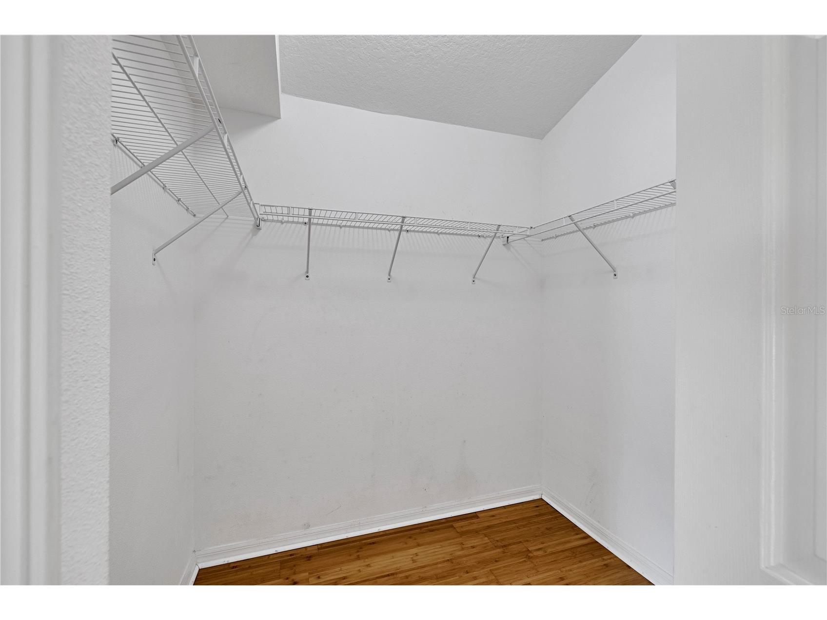 1741 Arbor Knoll Loop Trinity FL 34655 TB8528191 image27