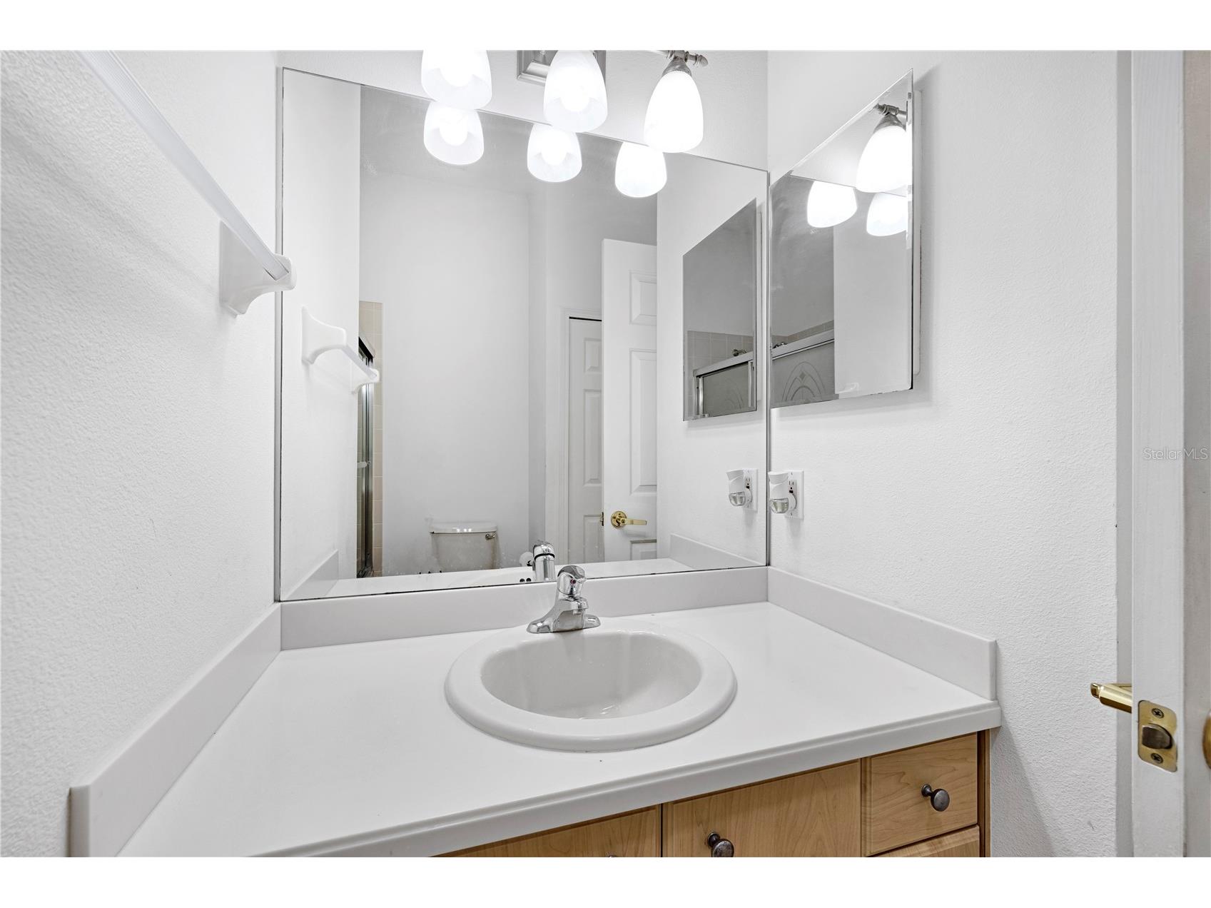 1741 Arbor Knoll Loop Trinity FL 34655 TB8528191 image35