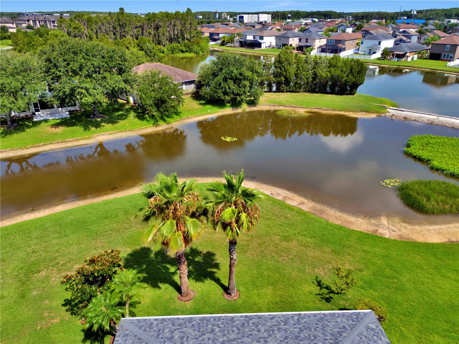 1741 Arbor Knoll Loop Trinity FL 34655 TB8528191 image43