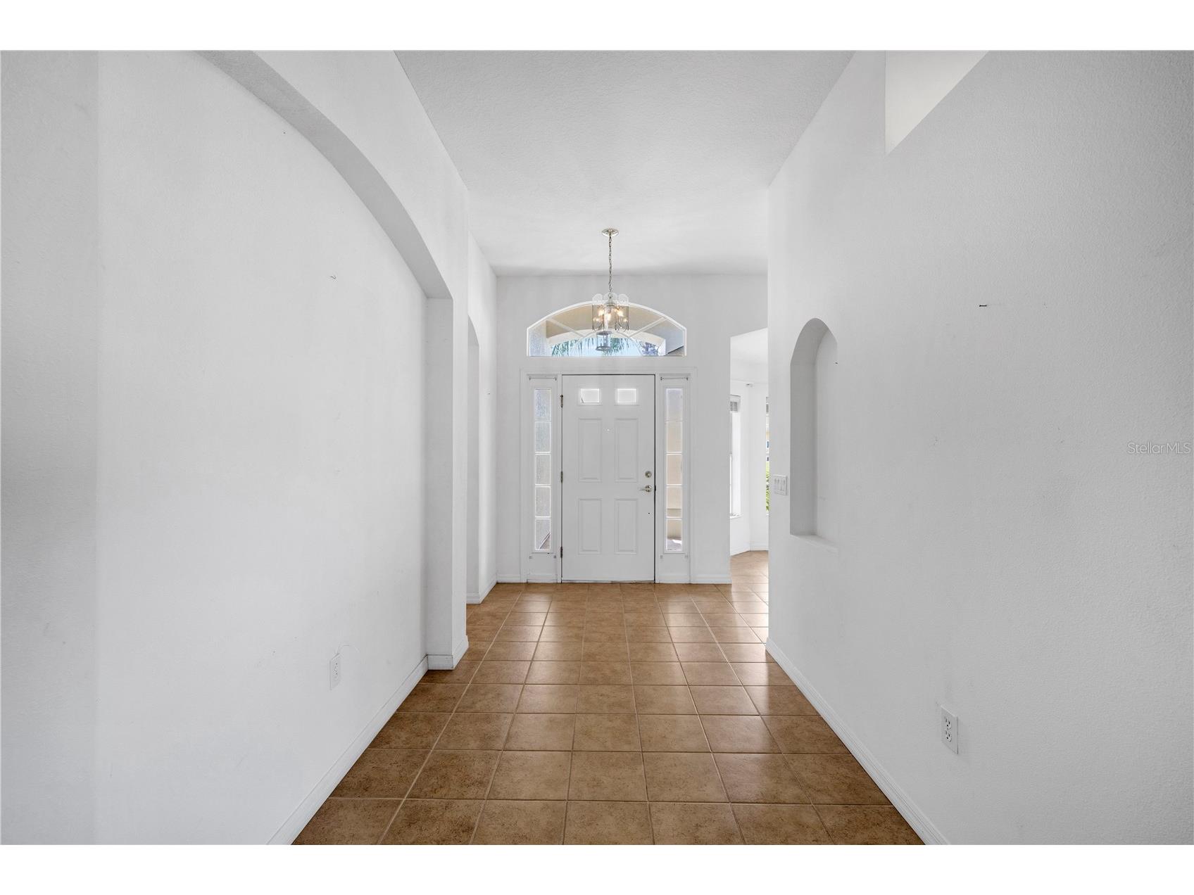 1741 Arbor Knoll Loop Trinity FL 34655 TB8528191 image6