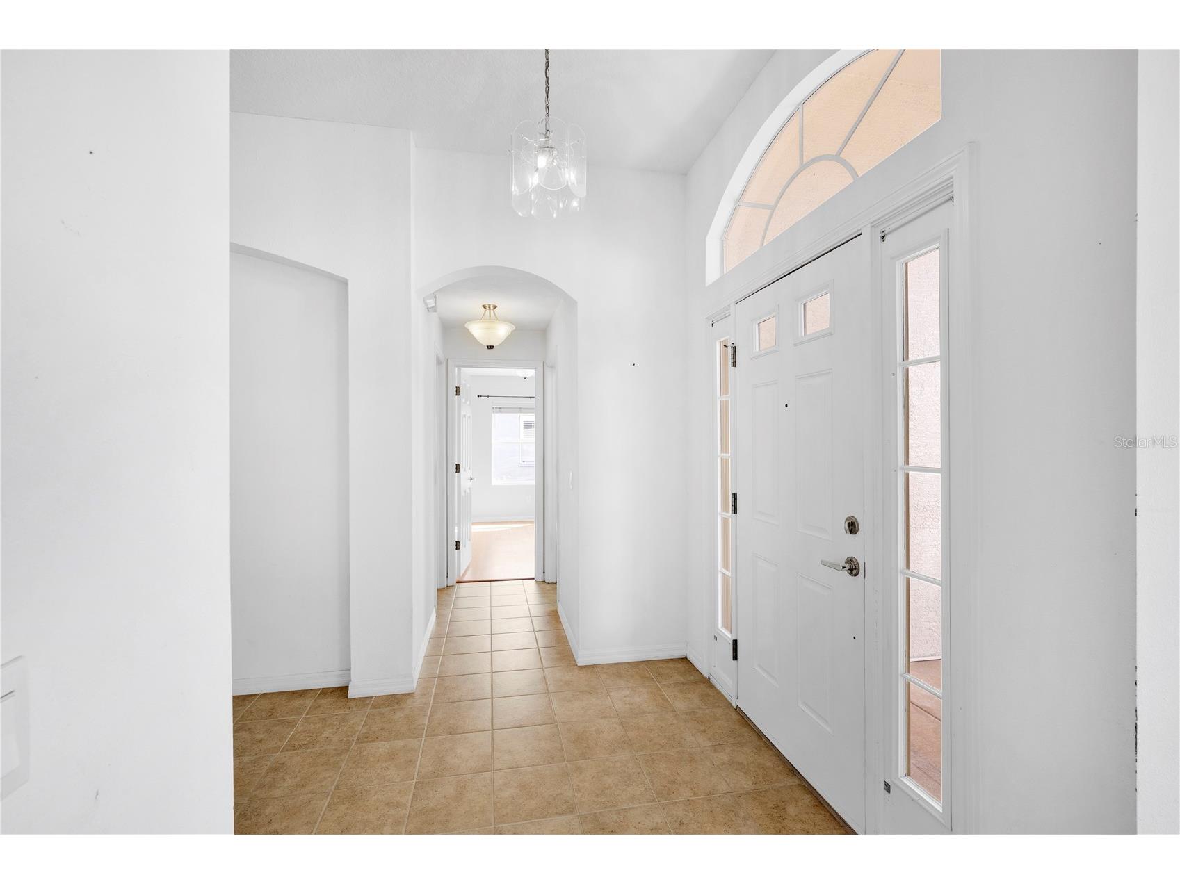 1741 Arbor Knoll Loop Trinity FL 34655 TB8528191 image7