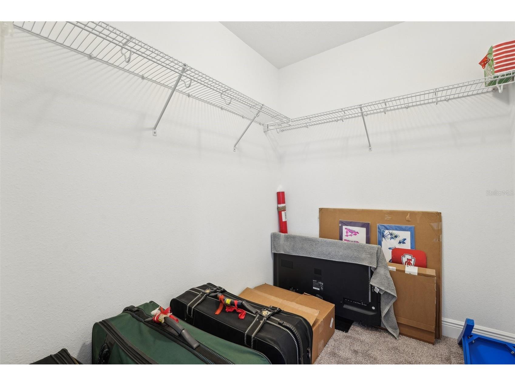 1741 Cherry Walk Road Lutz FL 33558 TB8517084 image39