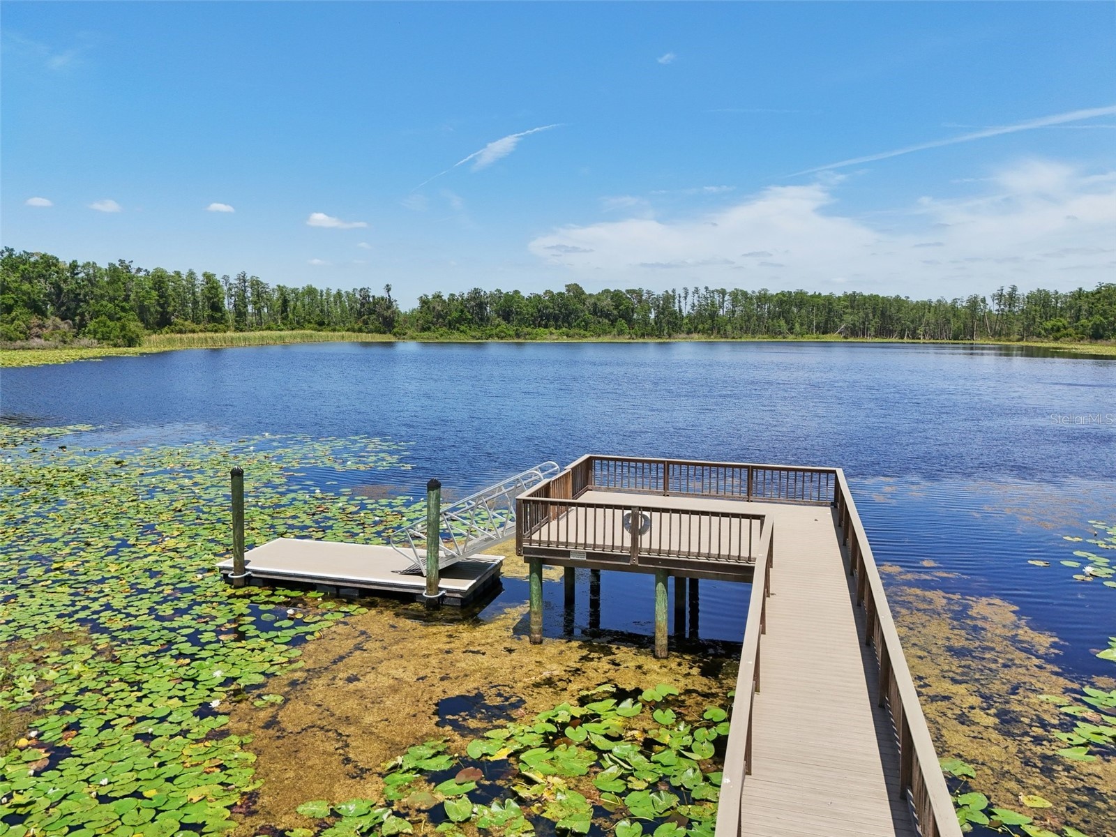 1741 Cherry Walk Road Lutz FL 33558 TB8517084 image60