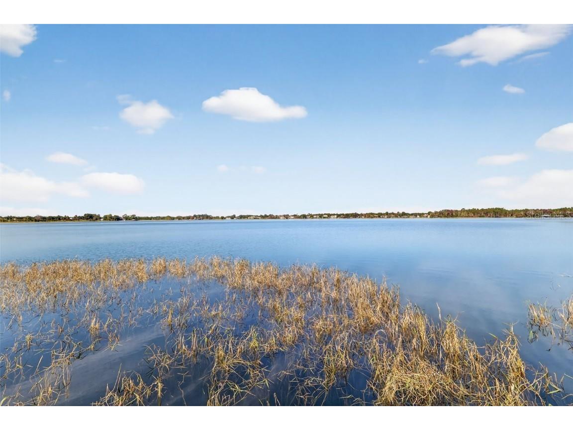 1741 Edgewater Drive Mount Dora FL 32757 - LOCH LEVEN G5105010 image67