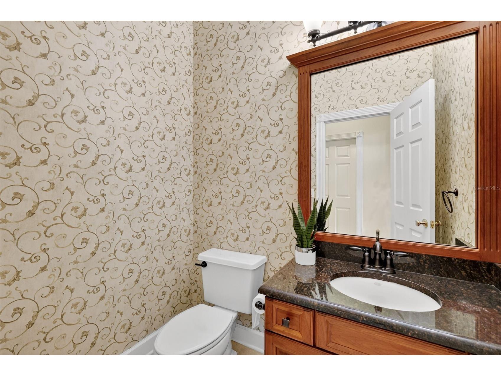 1741 Edgewater Drive Mount Dora FL 32757 - LOCH LEVEN O6400491 image22
