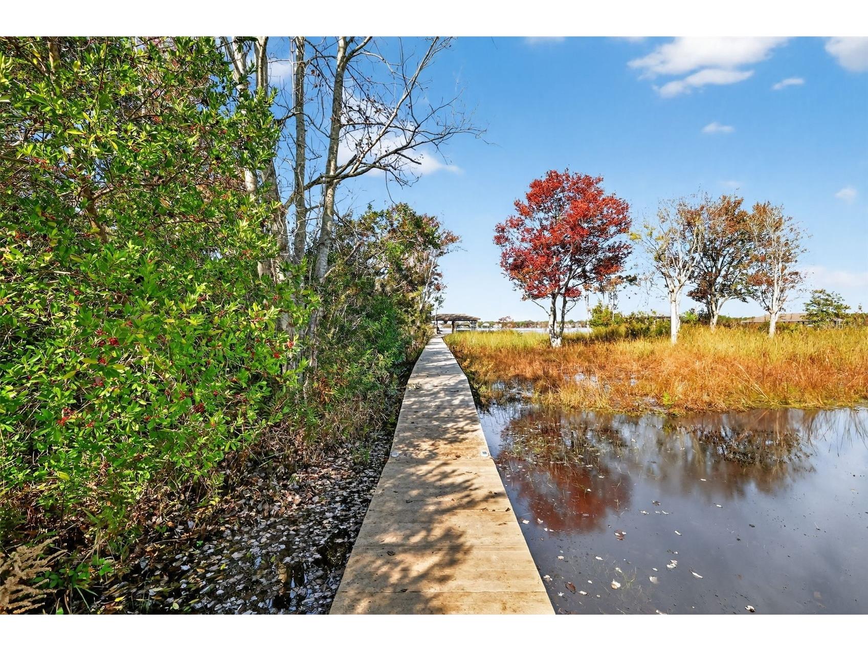 1741 Edgewater Drive Mount Dora FL 32757 - LOCH LEVEN O6400491 image57