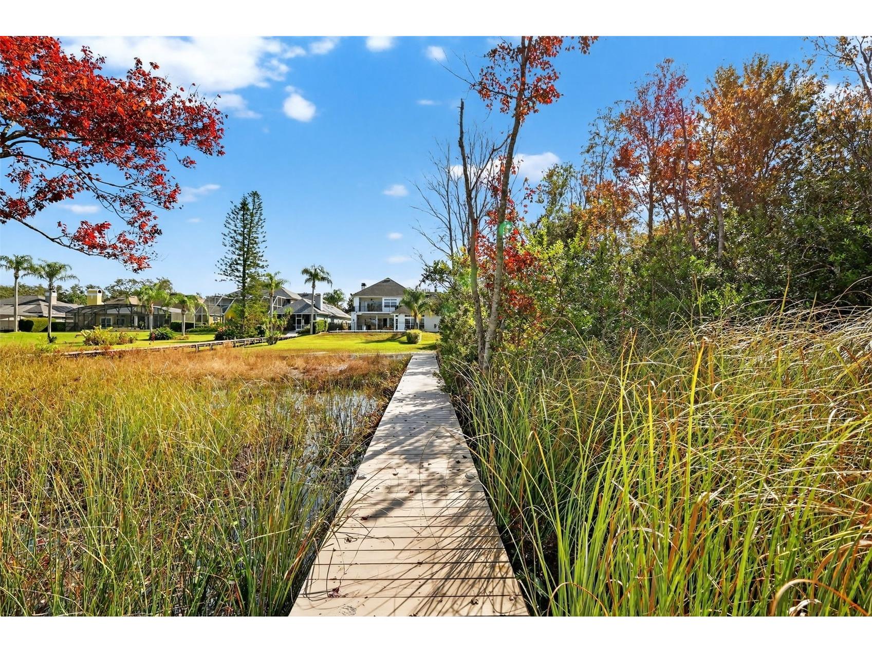 1741 Edgewater Drive Mount Dora FL 32757 - LOCH LEVEN O6400491 image61