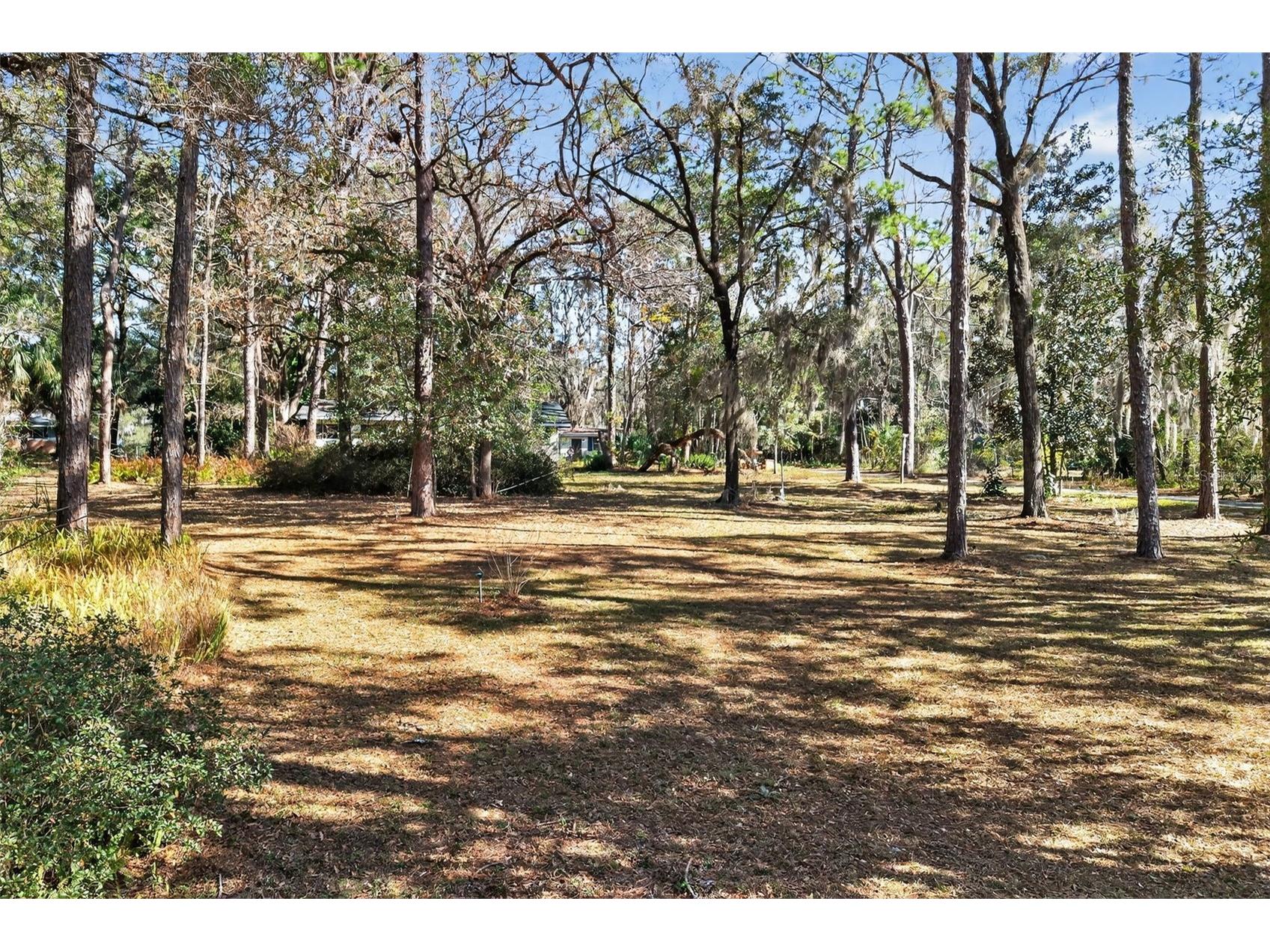 1741 N Crooked Branch Drive Lecanto FL 34461 OM718433 image41