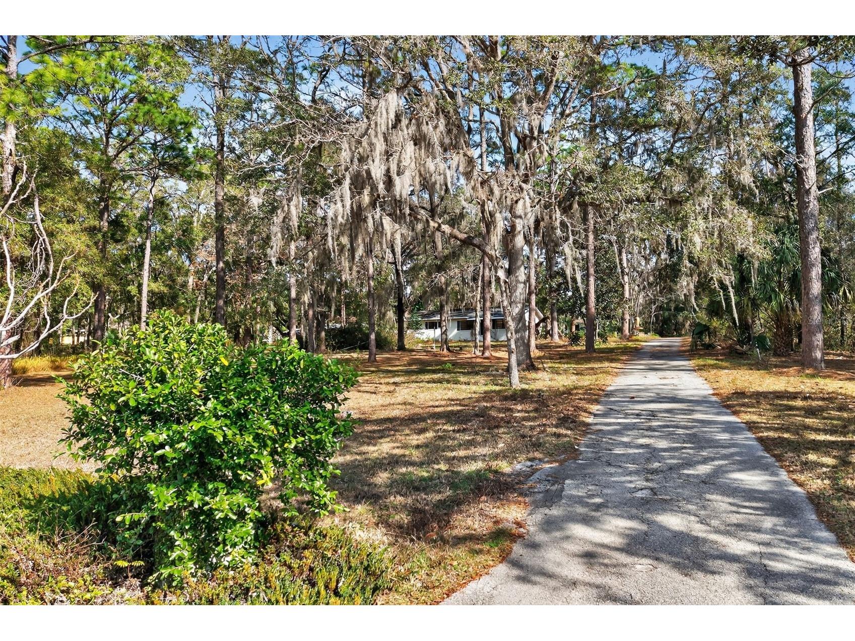 1741 N Crooked Branch Drive Lecanto FL 34461 OM718433 image42