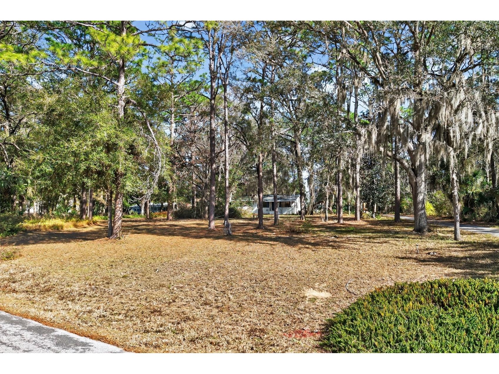 1741 N Crooked Branch Drive Lecanto FL 34461 OM718433 image43