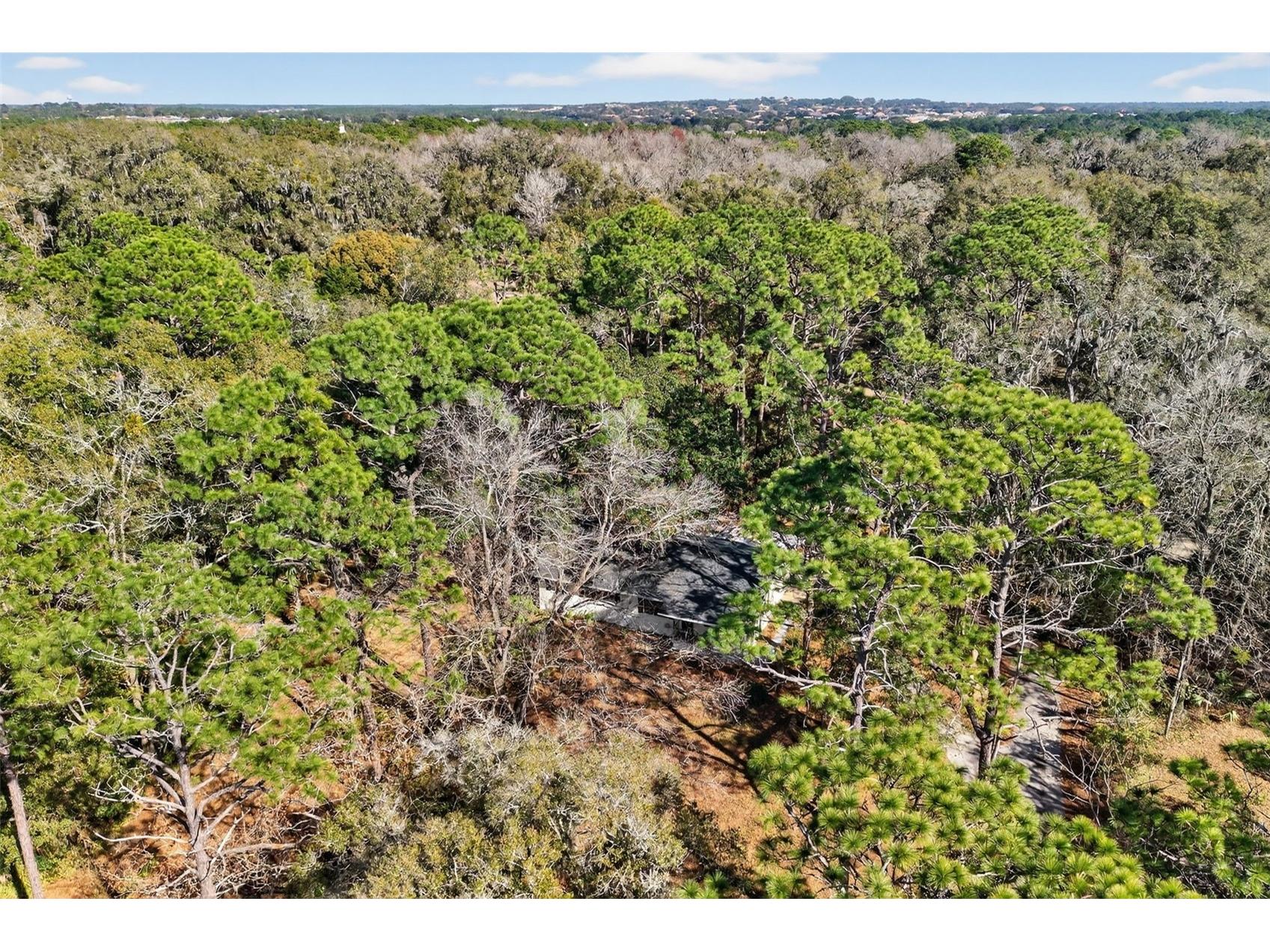 1741 N Crooked Branch Drive Lecanto FL 34461 OM718433 image44