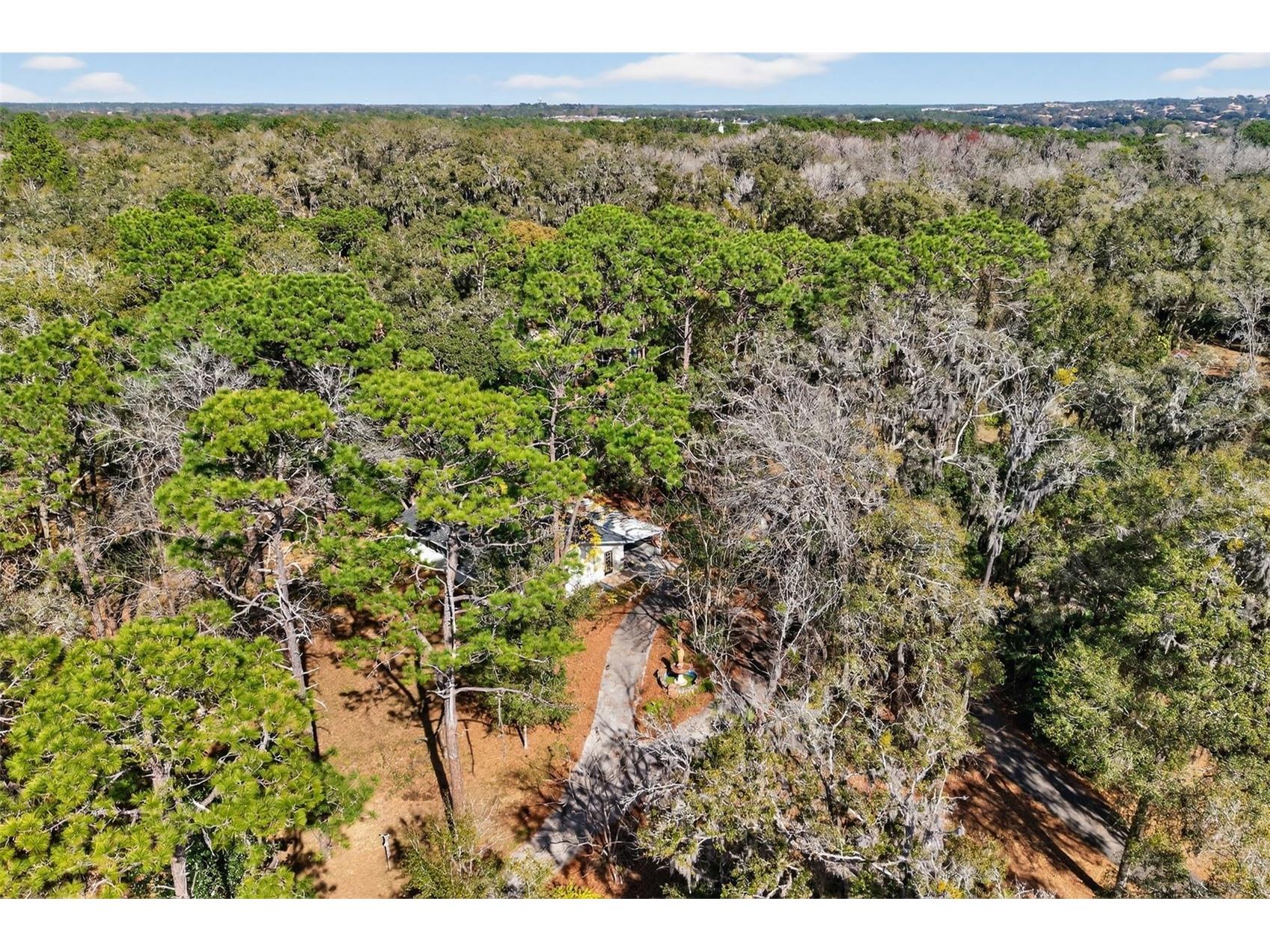 1741 N Crooked Branch Drive Lecanto FL 34461 OM718433 image45