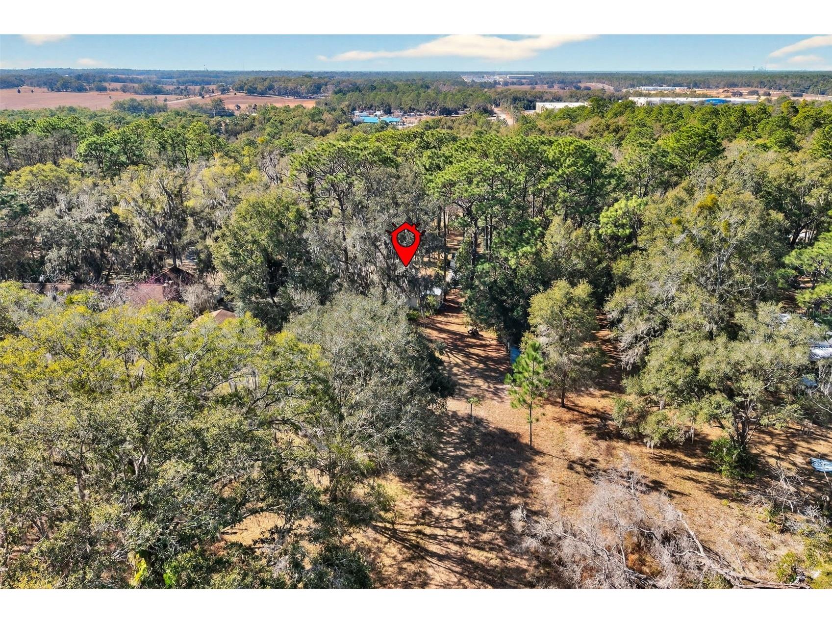 1741 N Crooked Branch Drive Lecanto FL 34461 OM718433 image49