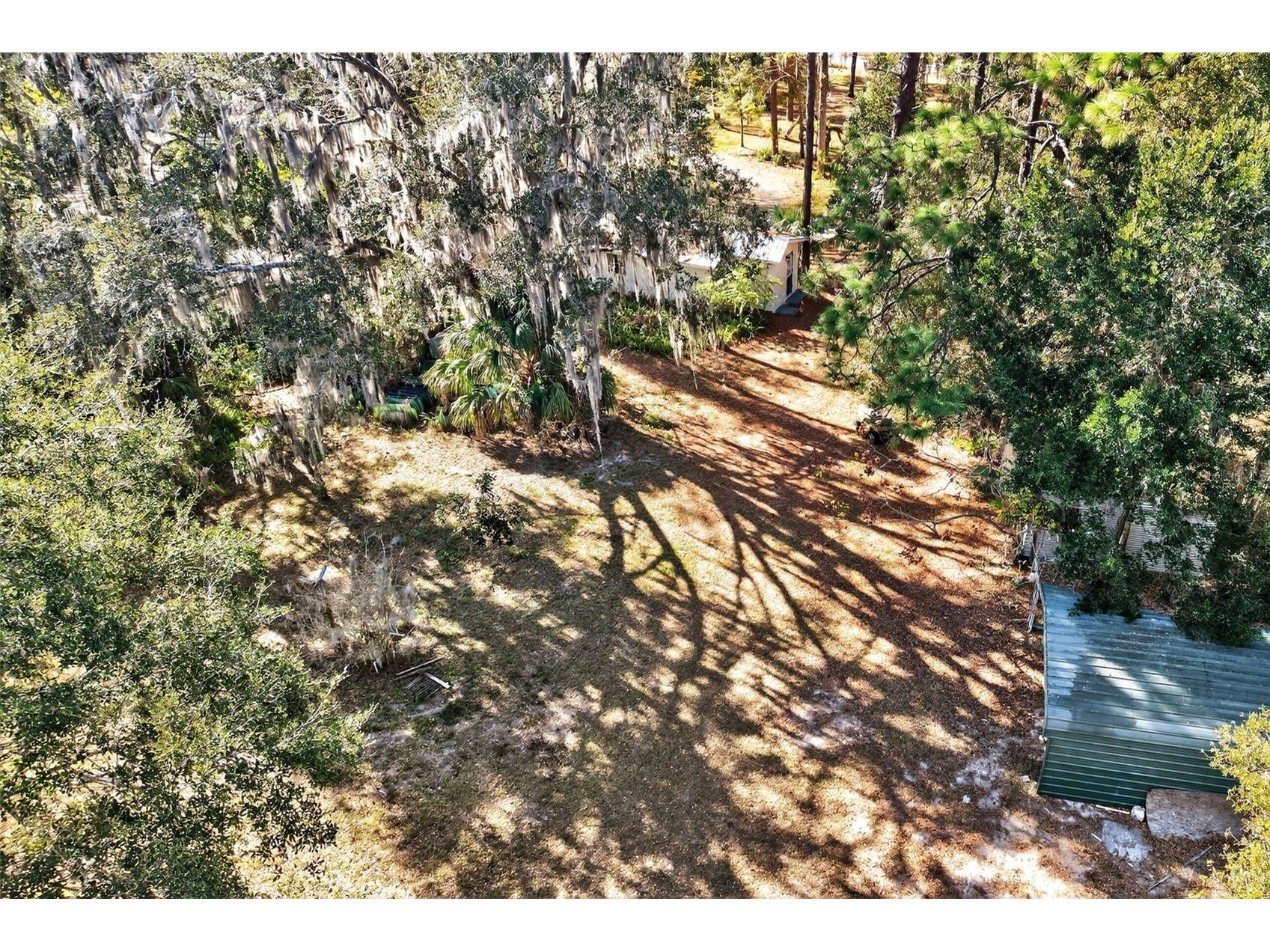 1741 N Crooked Branch Drive Lecanto FL 34461 OM718433 image51