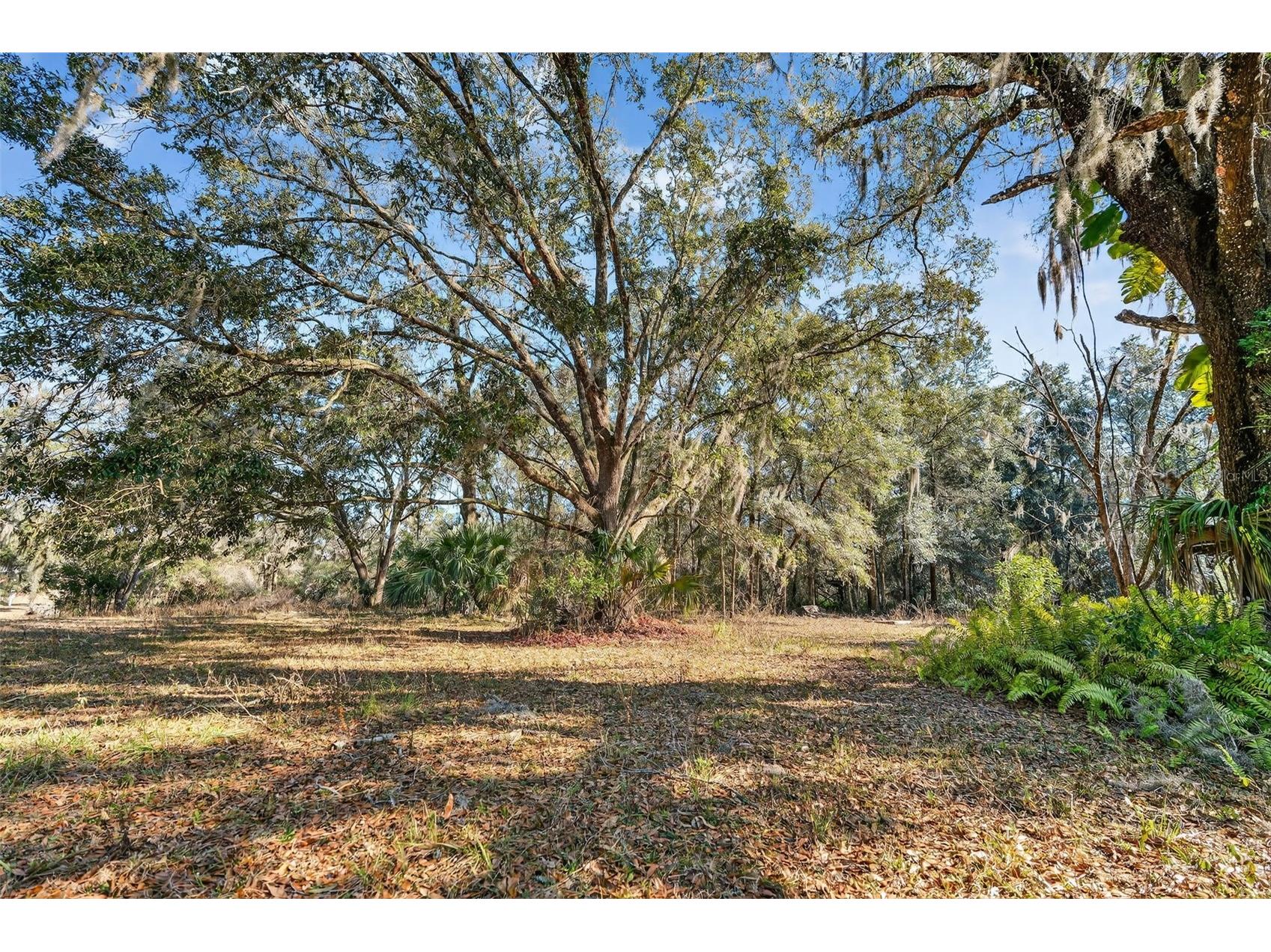 1741 N Crooked Branch Drive Lecanto FL 34461 OM718433 image54