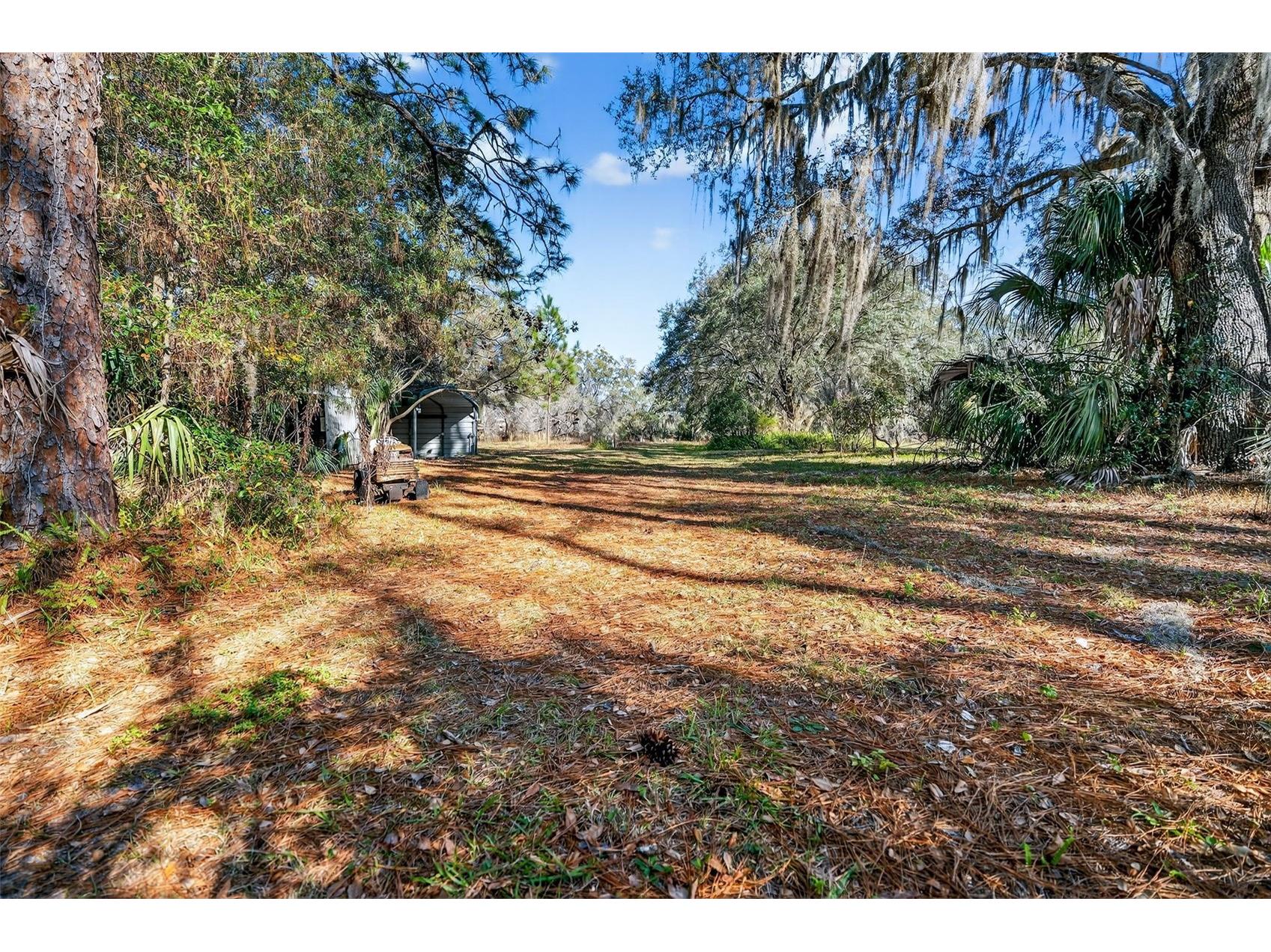 1741 N Crooked Branch Drive Lecanto FL 34461 OM718433 image55